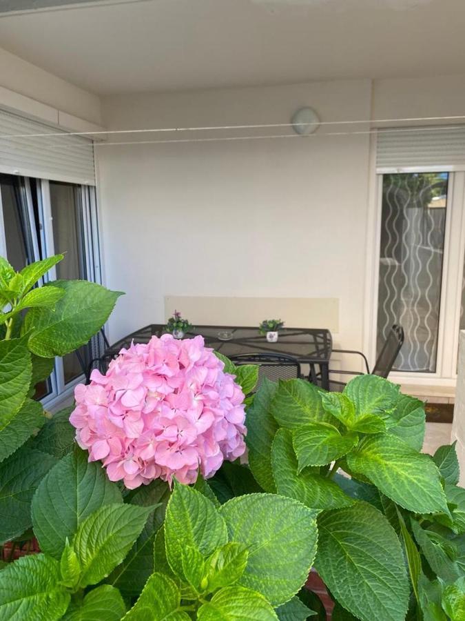Hortensija Apartment Split