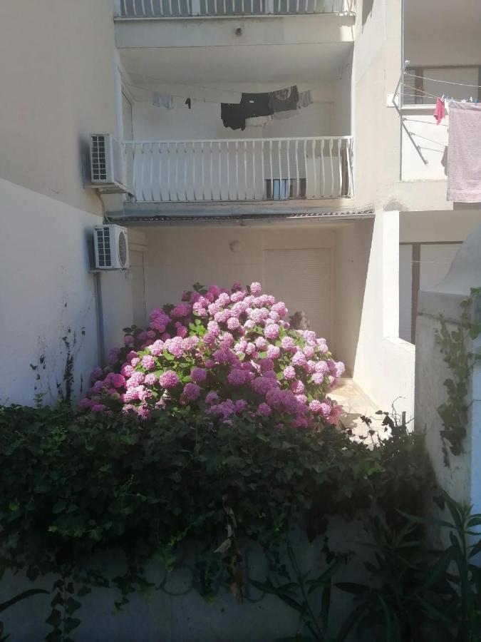 Apartment Hortensija